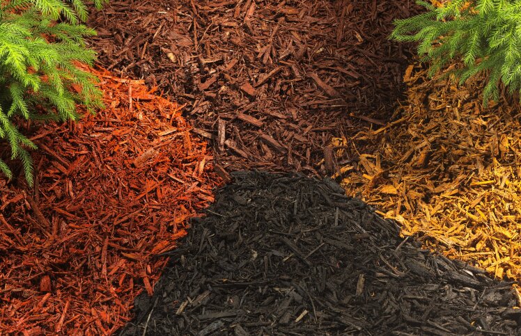 Missed Your Winter Fertilization? Choose the Fastest-Acting Organic Fertilizer